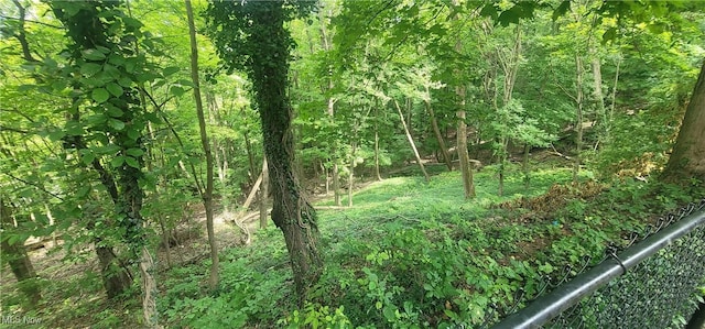 23785 Greenwood Rd, Euclid, OH 44117 - photo 8