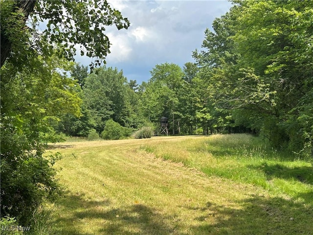 8963 Abbey Rd, North Royalton, OH 44133 - photo 18