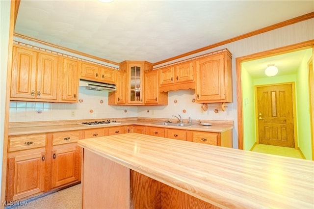 6670 State Route 260, New Matamoras, OH 45767 - photo 21
