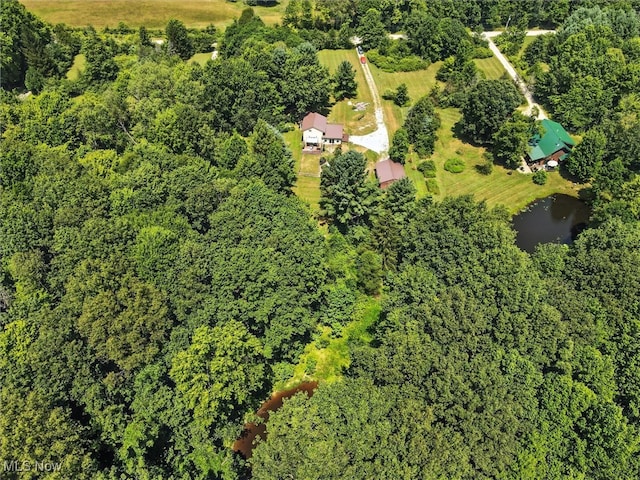 4064 Callender Rd, Rock Creek, OH 44084 - photo 8