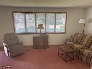 215 James St, Columbiana, OH 44408 - photo 3