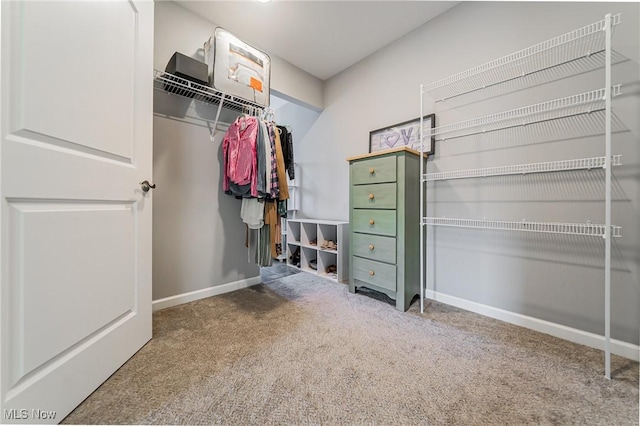 3000 Steve Guard Ct, Willoughby, OH 44094 - photo 24