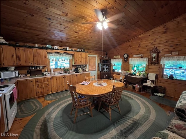 49215 Whittlesey Rd, Amherst, OH 44001 - photo 6