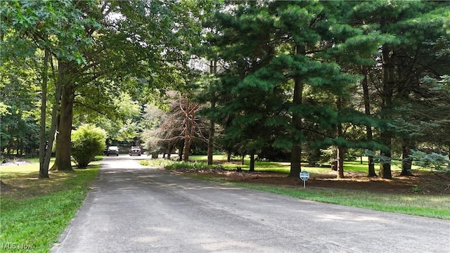 49215 Whittlesey Rd, Amherst, OH 44001 - photo 25