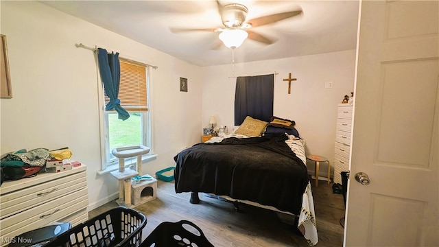 3636 Washington School Rd, New Cumberland, WV 26047 - photo 8