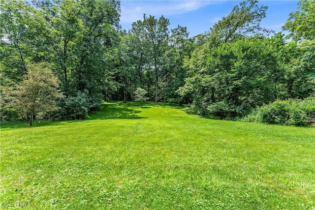 166 W Barlow Rd, Hudson, OH 44236 - photo 7