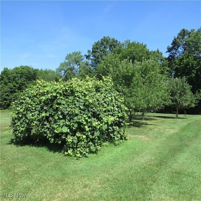 5109 Waynesburg Rd NW, Carrollton, OH 44615 - photo 36