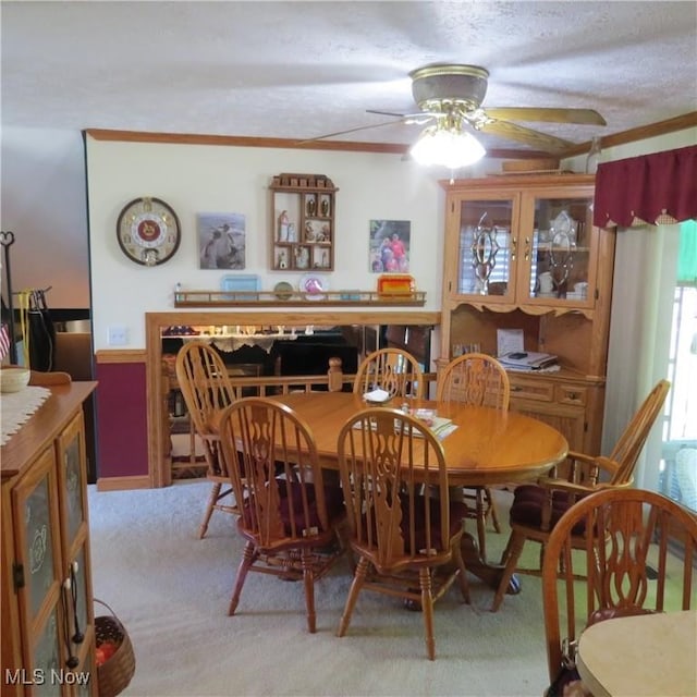 5109 Waynesburg Rd NW, Carrollton, OH 44615 - photo 8