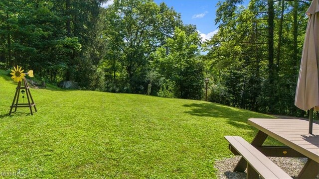 44618 Township Road 256, Lewisville, OH 43754 - photo 29