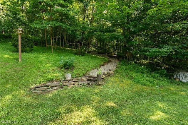 44618 Township Road 256, Lewisville, OH 43754 - photo 30