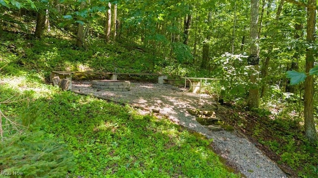 44618 Township Road 256, Lewisville, OH 43754 - photo 31