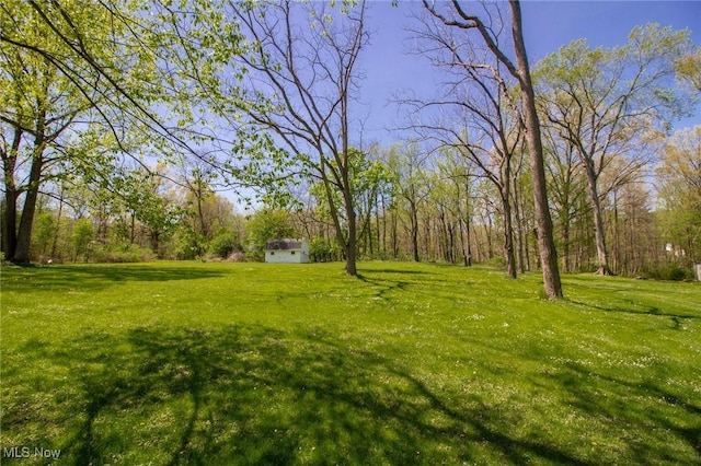 4166 Burgett Ln, Canfield, OH 44406 - photo 43