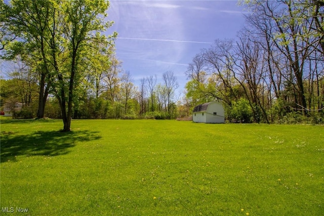 4166 Burgett Ln, Canfield, OH 44406 - photo 49