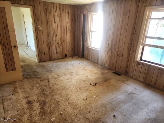 3196 N Main St, Rock Creek, OH 44084 - photo 10