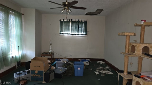 803 Trenton St, Toronto, OH 43964 - photo 2
