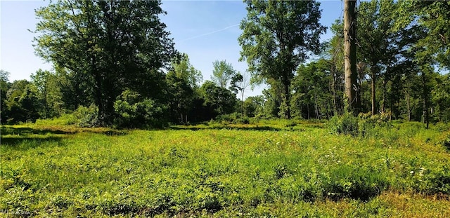 4018 Cleveland Rd E, Huron, OH 44839 - photo 9