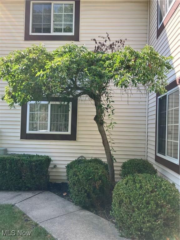 237 Greenbriar Ct, Euclid, OH 44143 - photo 3