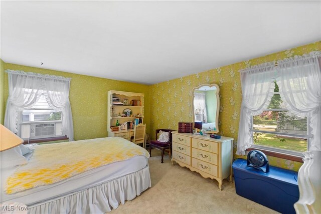 1043 Piermont Rd, South Euclid, OH 44121 - photo 23