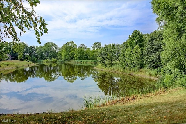 31916 Fieldstone Cir, Avon Lake, OH 44012 - photo 3