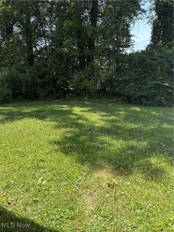 3470 Hadley Ave, Youngstown, OH 44505 - photo 17