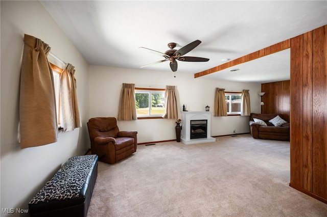 470 3rd St, Geneva, OH 44041 - photo 21