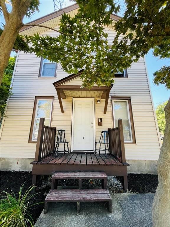 74 Swan St, Geneva, OH 44041 - photo 1