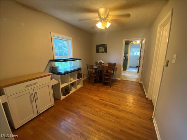 2833 Hubbard Rd, Madison, OH 44057 - photo 8