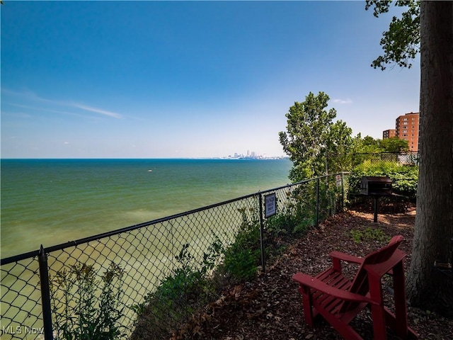 12500 Edgewater Dr Unit 1101, Lakewood, OH 44107 - photo 35