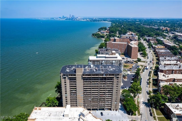 12500 Edgewater Dr Unit 1101, Lakewood, OH 44107 - photo 38