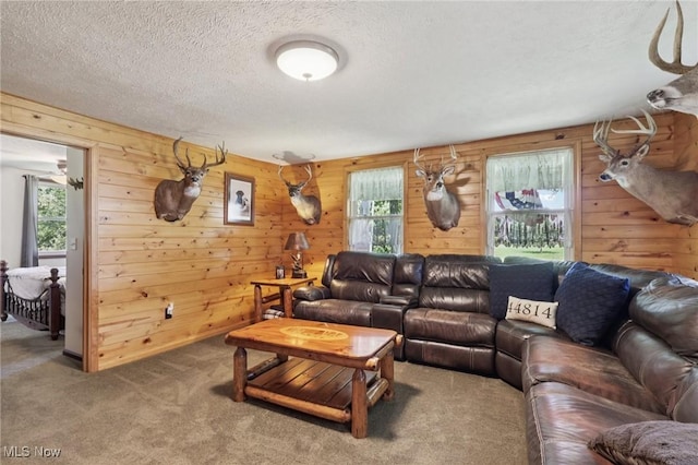 6414 Tennant Rd, Berlin Heights, OH 44814 - photo 21