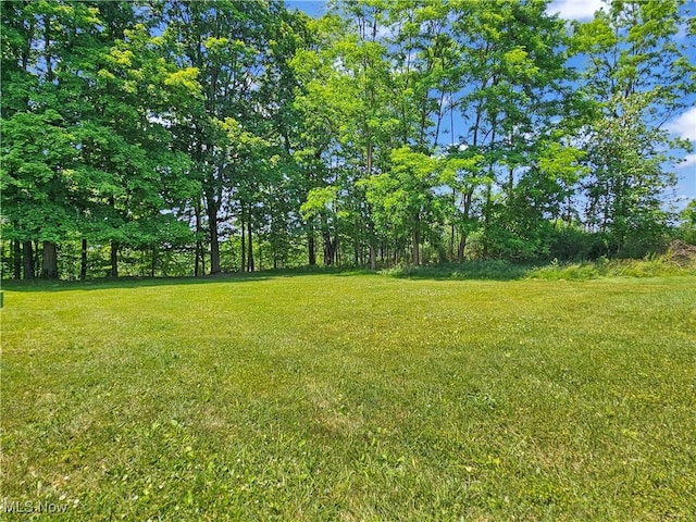 3866 Kirtland Rd, Willoughby, OH 44094 - photo 19