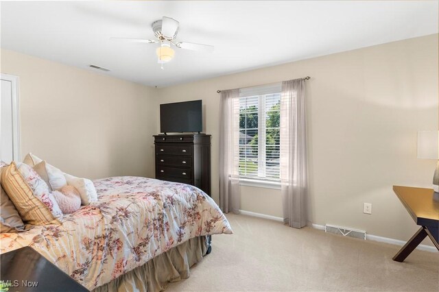 3740 Tippecanoe Pl, Canfield, OH 44406 - photo 22
