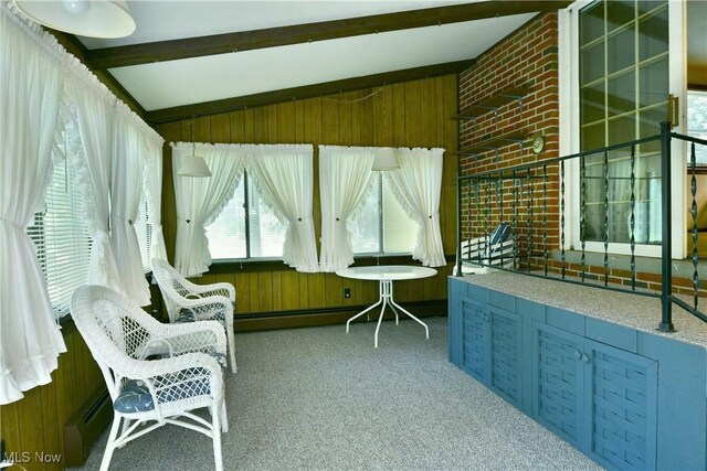 10787 W Western Reserve Rd, Canfield, OH 44406 - photo 19