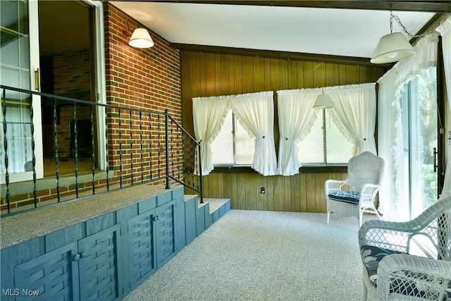10787 W Western Reserve Rd, Canfield, OH 44406 - photo 20