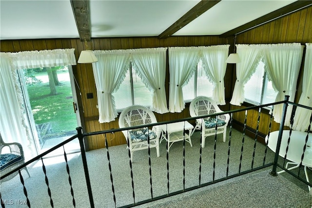10787 W Western Reserve Rd, Canfield, OH 44406 - photo 17