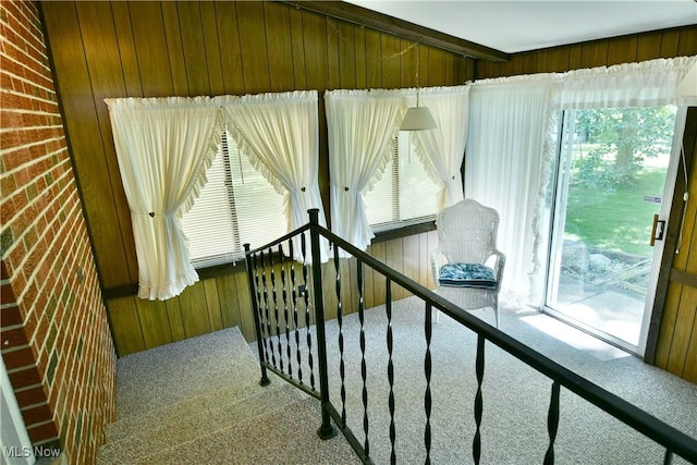 10787 W Western Reserve Rd, Canfield, OH 44406 - photo 18