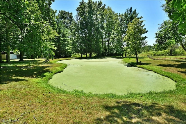 10787 W Western Reserve Rd, Canfield, OH 44406 - photo 47