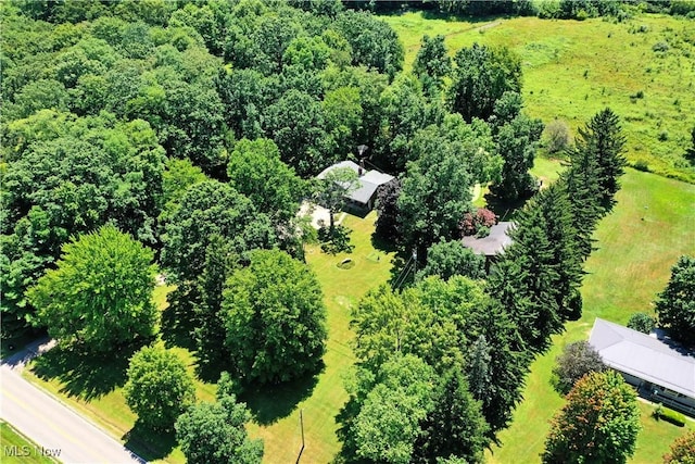 10787 W Western Reserve Rd, Canfield, OH 44406 - photo 49
