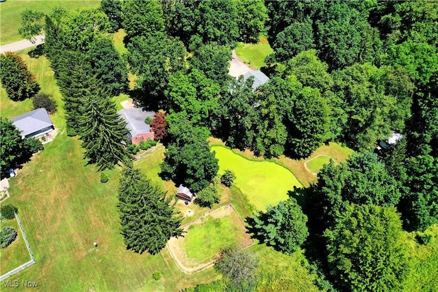 10787 W Western Reserve Rd, Canfield, OH 44406 - photo 50