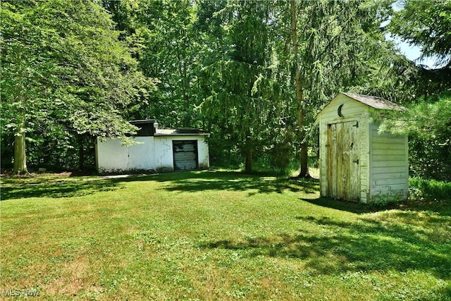 10787 W Western Reserve Rd, Canfield, OH 44406 - photo 46