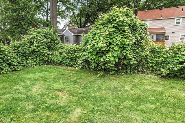 604 Adelaide Ave NE, Warren, OH 44483 - photo 39
