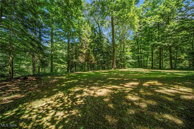 719 Howard Rd, Ashtabula, OH 44004 - photo 42