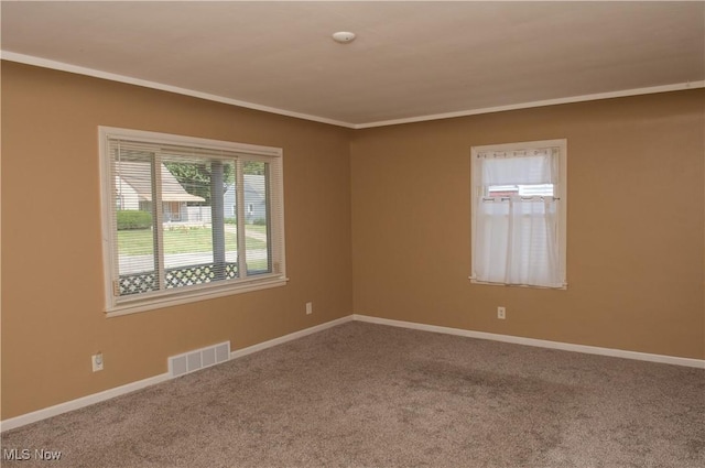 441 Manchester Ave, Youngstown, OH 44509 - photo 8