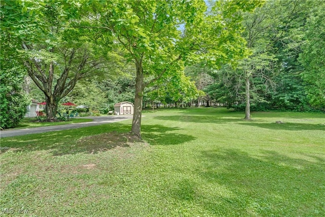 10901 Main St, New Middletown, OH 44442 - photo 41