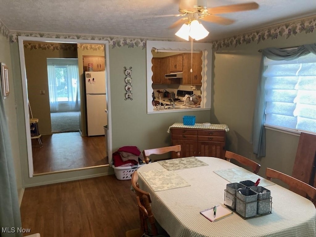 224 E Slingluff Ave, Dover, OH 44622 - photo 7