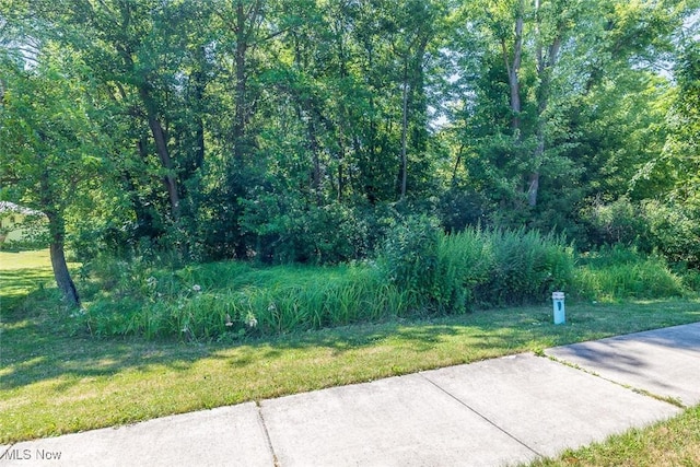 7500 Stearns Rd, Olmsted Twp, OH 44138 - photo 9