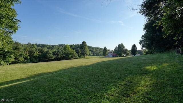9123 Eckelberry Rd, Cambridge, OH 43725 - photo 44