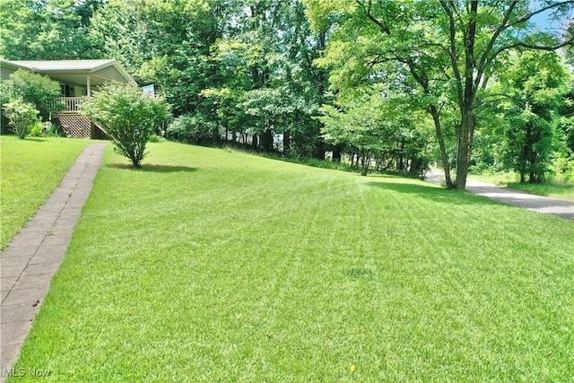 1196 Nobe Rd, Big Bend, WV 26137 - photo 3