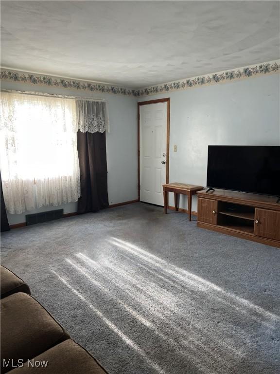 7066 Reed Rd, Conneaut, OH 44030 - photo 10