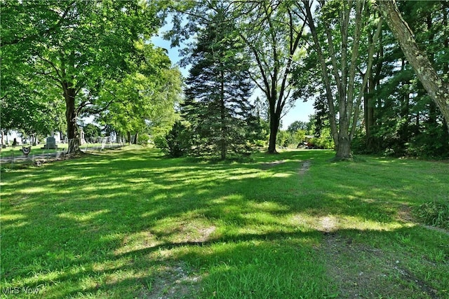 4366 Greenville Rd, Cortland, OH 44417 - photo 15